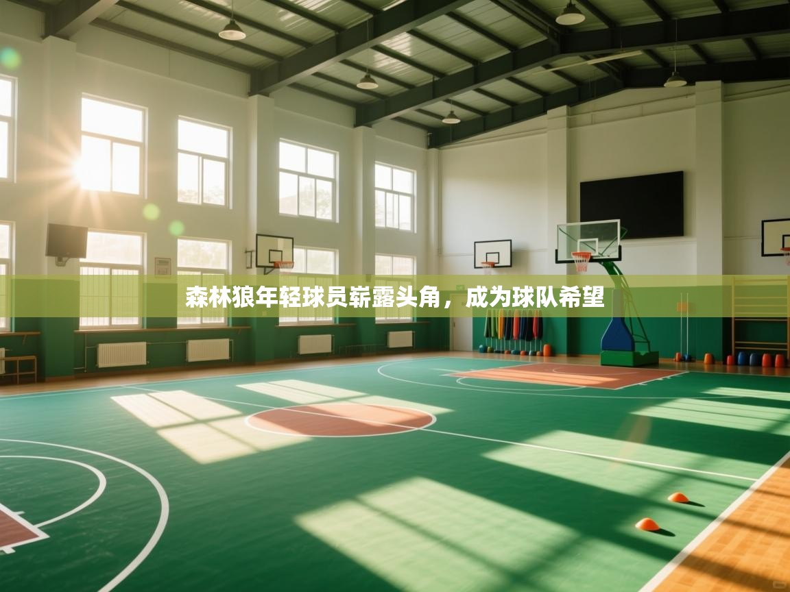 森林狼年轻球员崭露头角，成为球队希望  第1张