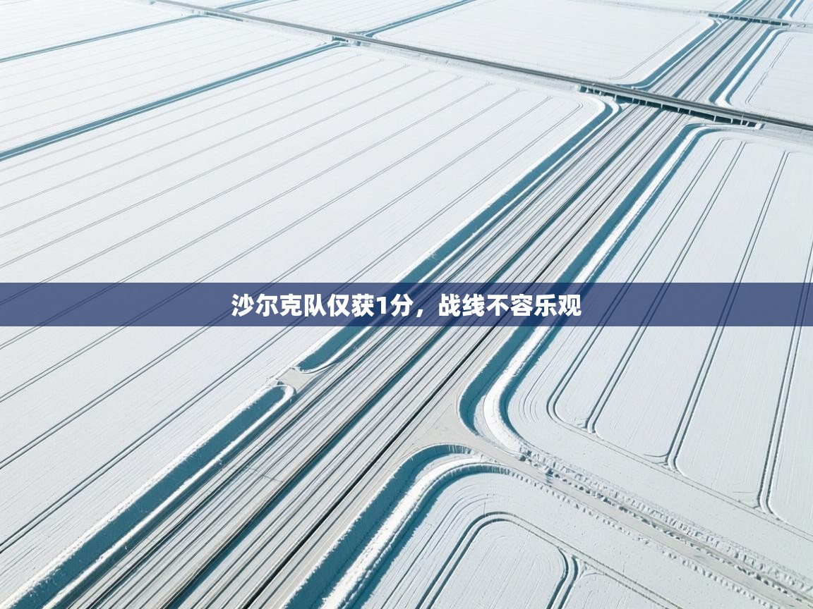 沙尔克队仅获1分，战线不容乐观  第2张