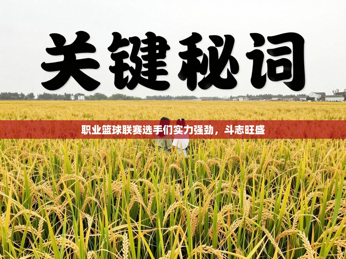 职业篮球联赛选手们实力强劲，斗志旺盛  第1张