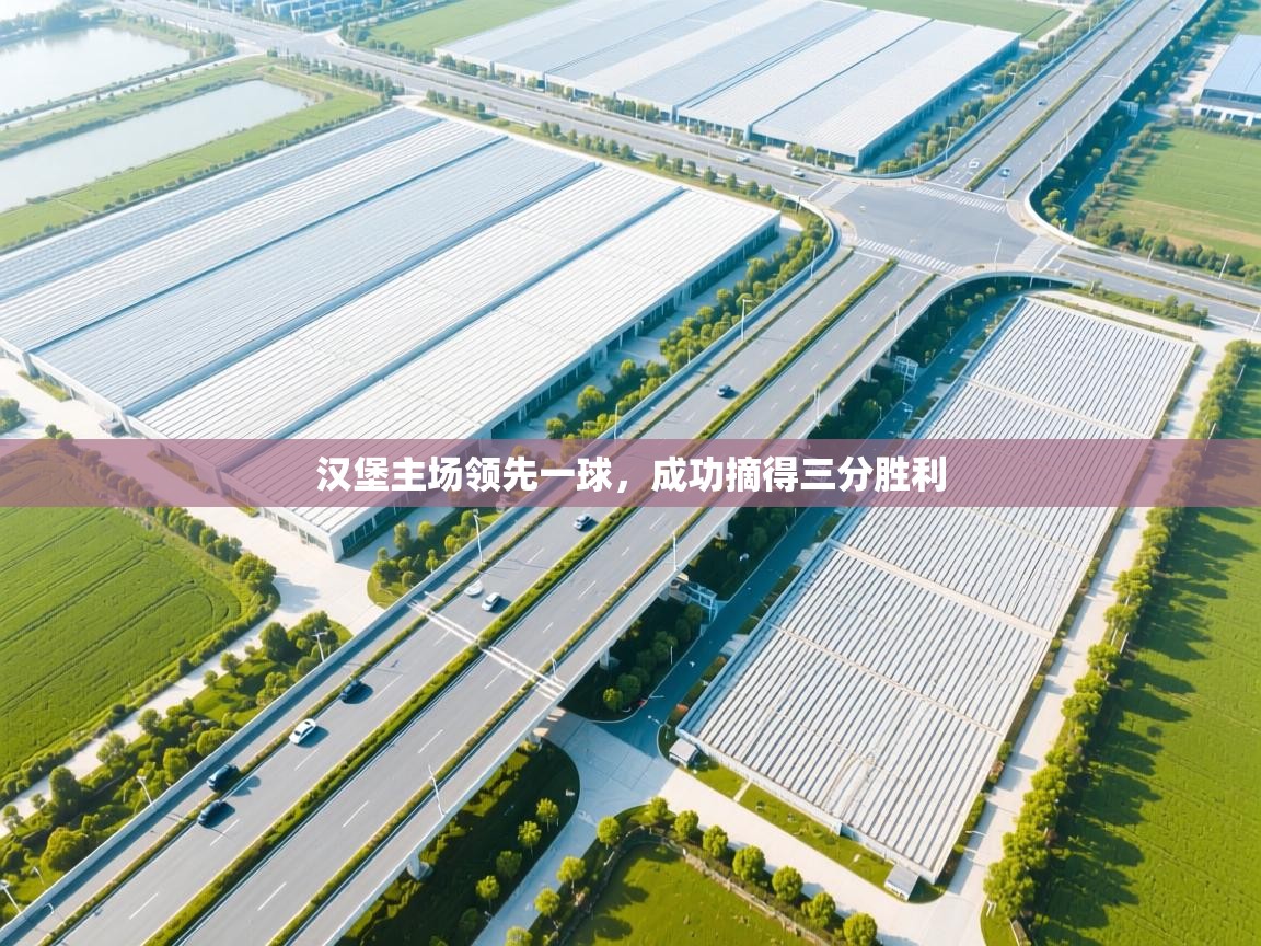 汉堡主场领先一球，成功摘得三分胜利