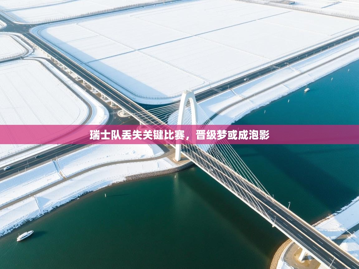 瑞士队丢失关键比赛,晋级梦或成泡影 第1张