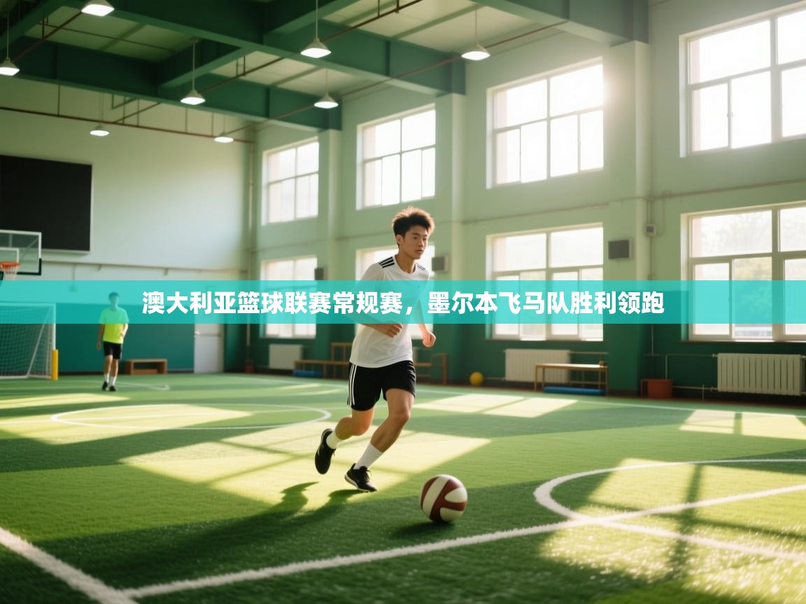 澳大利亚篮球联赛常规赛,墨尔本飞马队胜利领跑 第1张