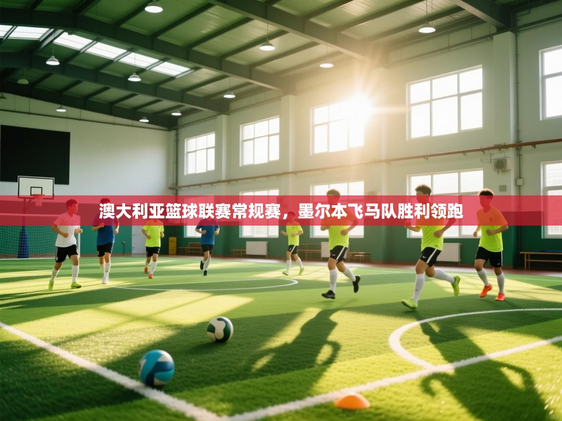 澳大利亚篮球联赛常规赛,墨尔本飞马队胜利领跑 第2张