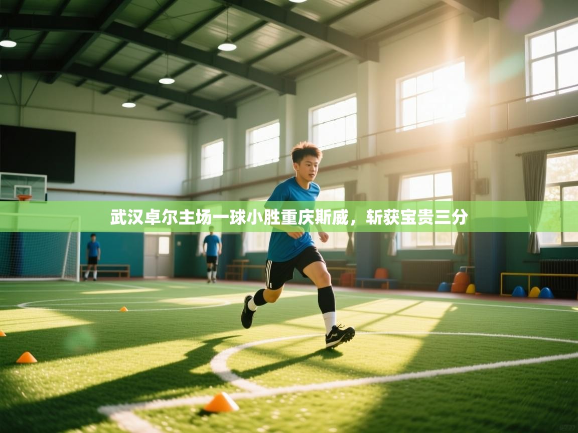 武汉卓尔主场一球小胜重庆斯威,斩获宝贵三分 第1张