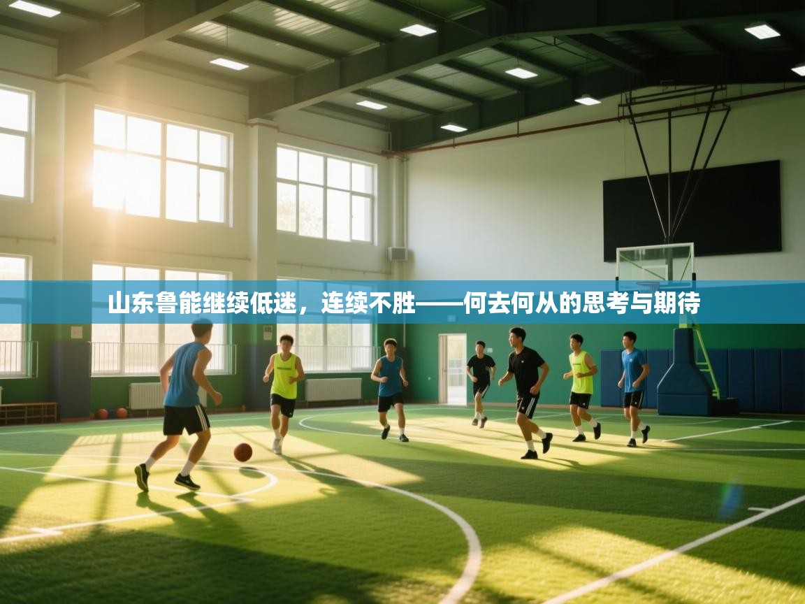 山东鲁能继续低迷，连续不胜——何去何从的思考与期待