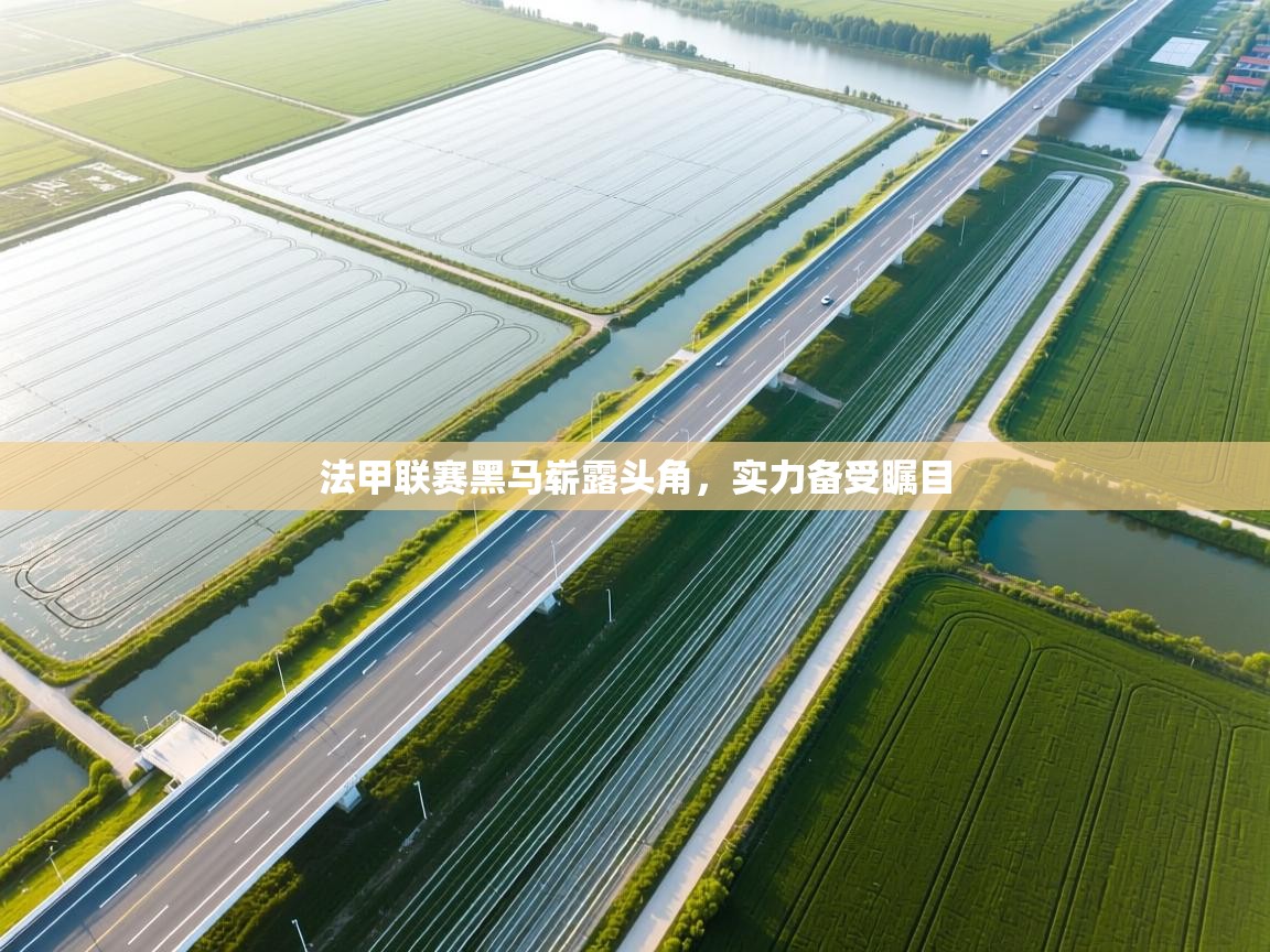 法甲联赛黑马崭露头角，实力备受瞩目